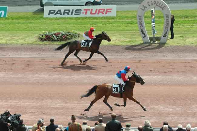 Arrivée quinté pmu PRIX GENES DIFFUSION à LA CAPELLE