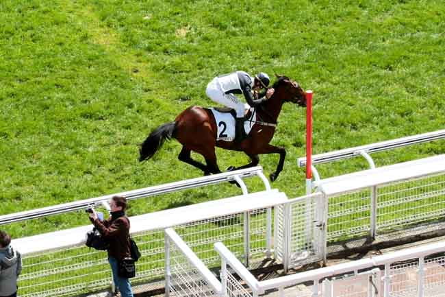 Arrivée quinté pmu PRIX GALAFRON à AUTEUIL