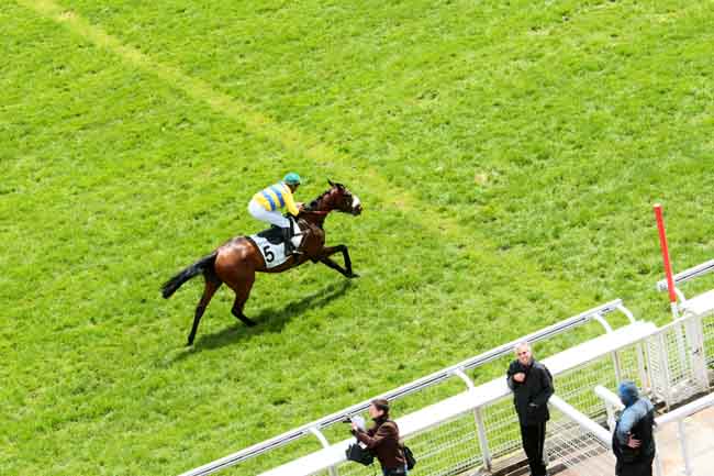 Arrivée quinté pmu PRIX LE GUALES DE MEZAUBRAN à AUTEUIL