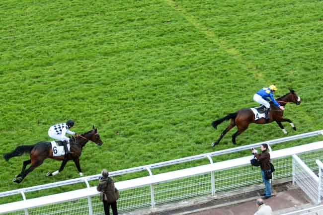 Arrivée quinté pmu PRIX DE LA MUETTE à AUTEUIL