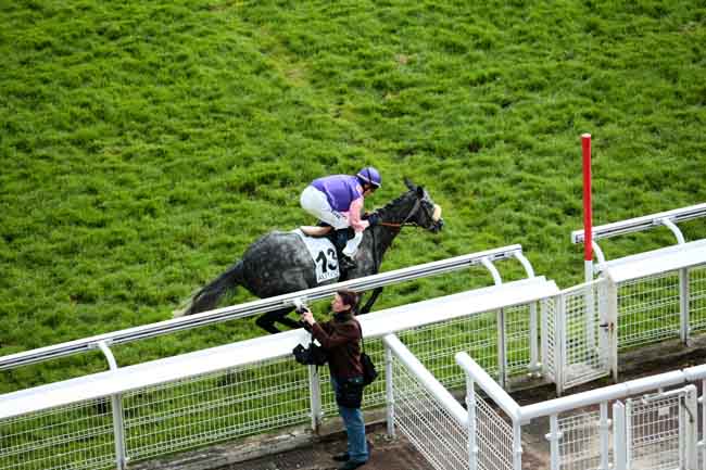 Arrivée quinté pmu PRIX MELINOIR à AUTEUIL