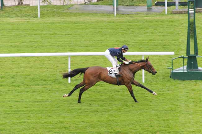Arrivée quinté pmu PRIX CORRIDA à SAINT-CLOUD