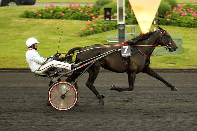 Arrivée quinté pmu PRIX DU JOURNAL GENY COURSES - PRIX CONSTELLATION à PARIS-VINCENNES