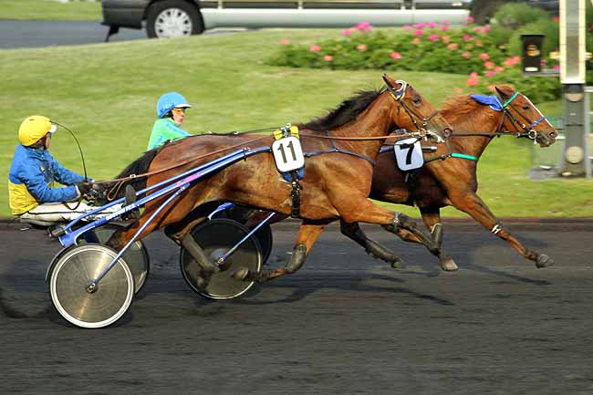 Arrivée quinté pmu PRIX OZO à PARIS-VINCENNES