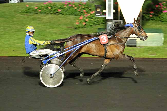Arrivée quinté pmu PRIX SIRRAH à PARIS-VINCENNES