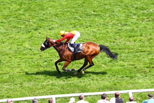 Arrivée quinté pmu PRIX KLEBER à STRASBOURG