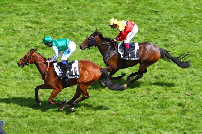Arrivée quinté pmu PRIX DE LA VALSE à STRASBOURG