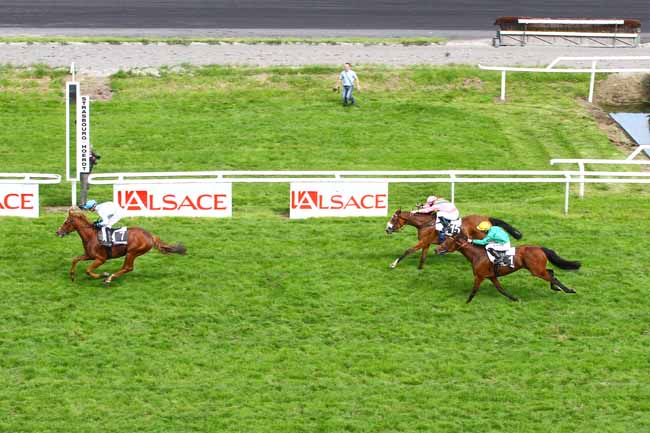 Arrivée quinté pmu PRIX NATHANAELLE ARTU à STRASBOURG