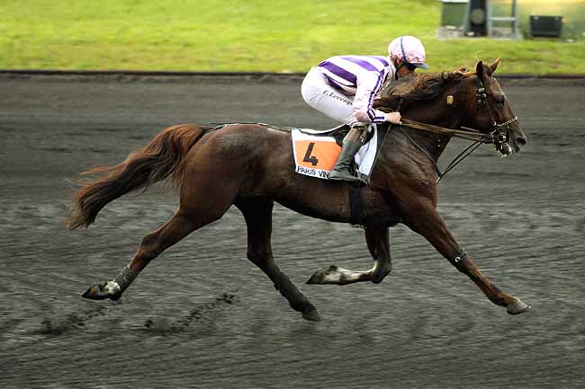 Arrivée quinté pmu PRIX VICTOR CAVEY à PARIS-VINCENNES