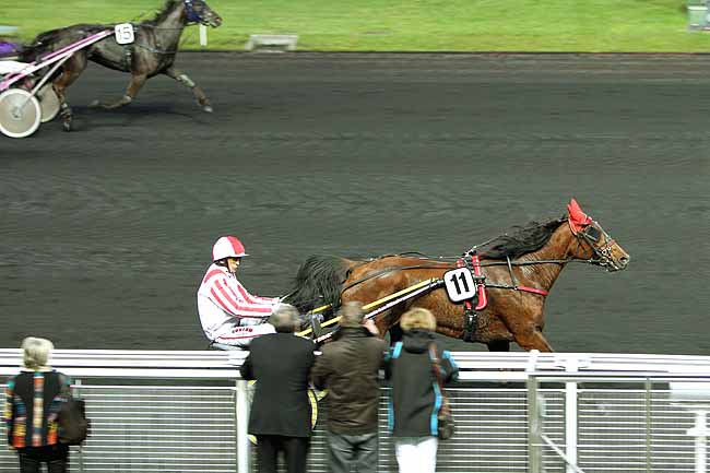 Arrivée quinté pmu PRIX RHEITA à PARIS-VINCENNES