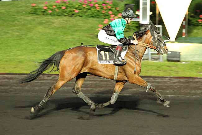 Arrivée quinté pmu PRIX BUDROSA à PARIS-VINCENNES