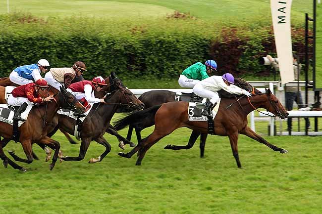 Arrivée quinté pmu PRIX AMONITA à MAISONS-LAFFITTE