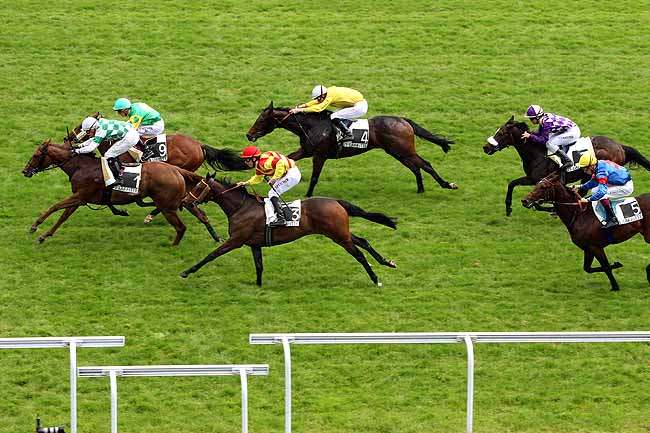 Arrivée quinté pmu PRIX DE RUEIL à MAISONS-LAFFITTE