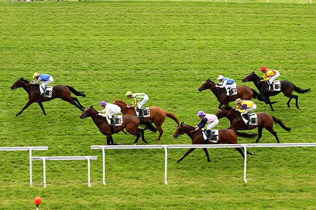Arrivée quinté pmu PRIX LE SANCY à MAISONS-LAFFITTE