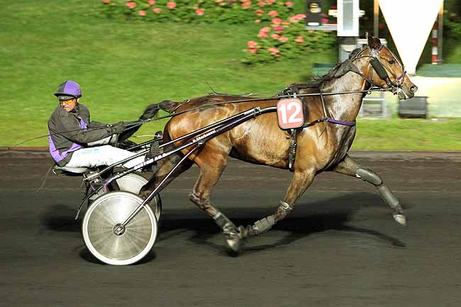 Arrivée quinté pmu PRIX CYGNUS à PARIS-VINCENNES