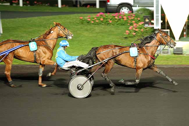 Arrivée quinté pmu PRIX KISSA à PARIS-VINCENNES