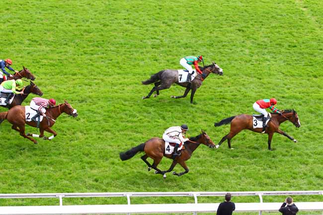 Arrivée quinté pmu PRIX D'IENA à AUTEUIL