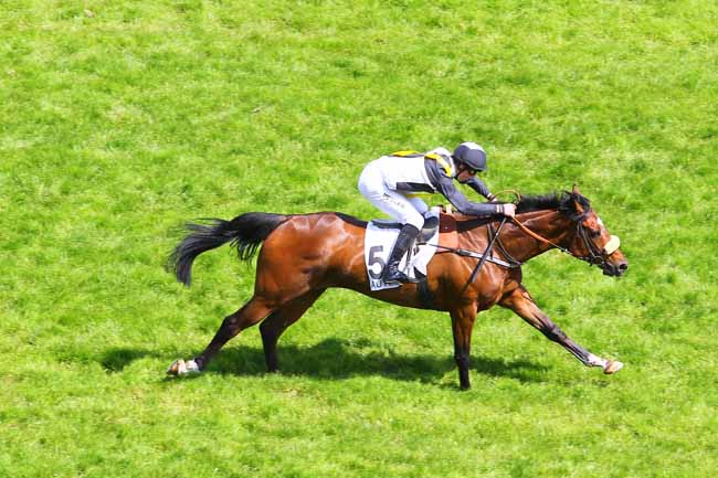 Arrivée quinté pmu PRIX GOPAL à AUTEUIL