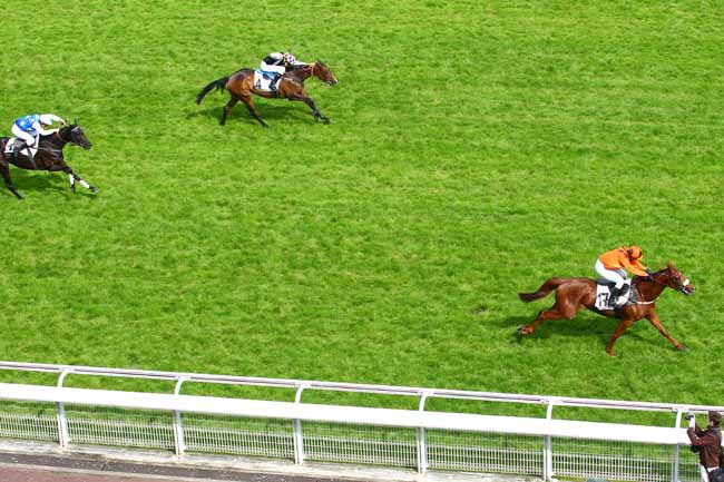 Arrivée quinté pmu PRIX TRINIDAD à AUTEUIL