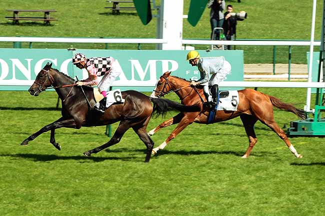 Arrivée quinté pmu PRIX DU CHATELET à LONGCHAMP
