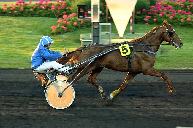 Arrivée quinté pmu PRIX EDBURGA à PARIS-VINCENNES