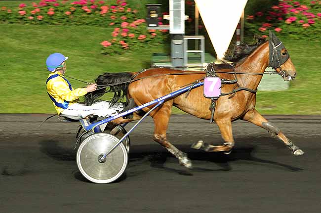 Arrivée quinté pmu PRIX GERALDINA à PARIS-VINCENNES