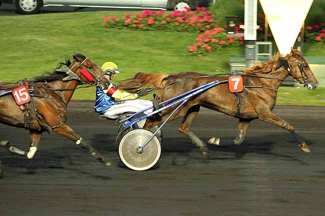 Arrivée quinté pmu PRIX DE CLAIREFONTAINE à PARIS-VINCENNES