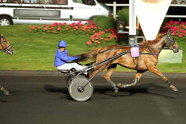Arrivée quinté pmu PRIX ARA à PARIS-VINCENNES