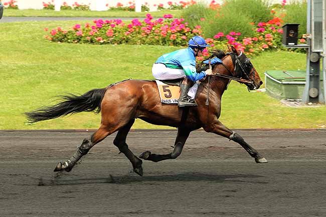Arrivée quinté pmu PRIX D'ARLES à PARIS-VINCENNES