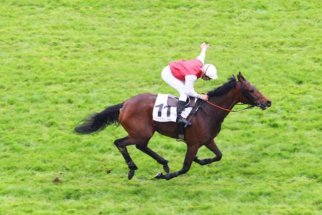 Arrivée quinté pmu PRIX KATKO à AUTEUIL