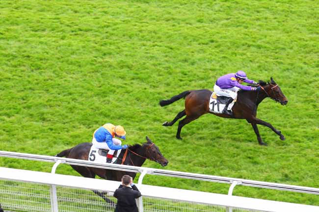 Arrivée quinté pmu PRIX HARDATIT à AUTEUIL
