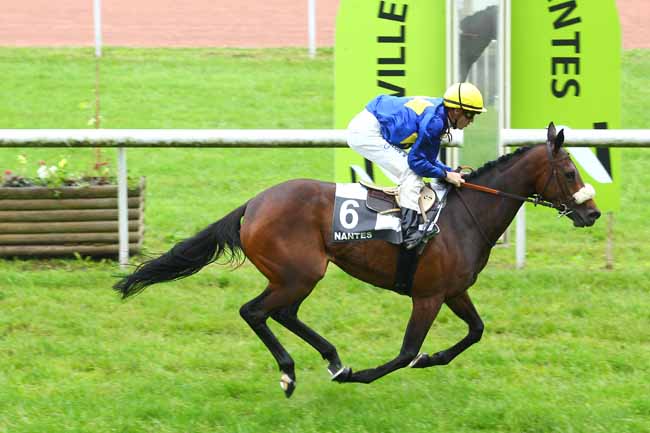 Arrivée quinté pmu PRIX DU JOURNAL GENY COURSES (GRAND PRIX DES AQPS) à NANTES