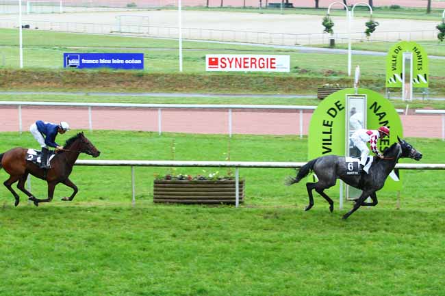 Arrivée quinté pmu PRIX DE LA LOIRE-ATLANTIQUE à NANTES