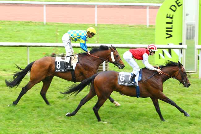 Arrivée quinté pmu PRIX YVES LALLEMAN à NANTES