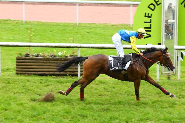 Arrivée quinté pmu PRIX GERALD DE ROCHEFORT à NANTES