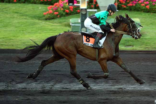 Arrivée quinté pmu PRIX TORONTI à PARIS-VINCENNES