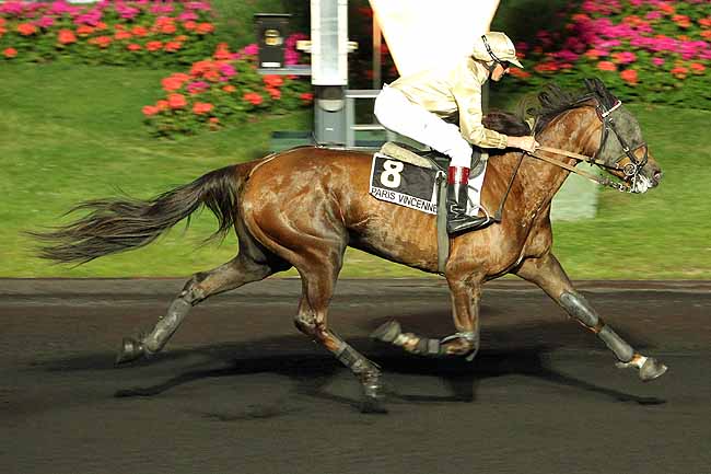 Arrivée quinté pmu PRIX PARIANA à PARIS-VINCENNES