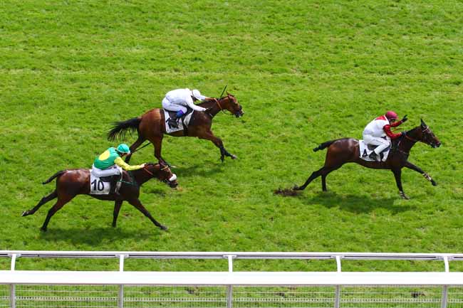 Arrivée quinté pmu PRIX BURGRAVE II à AUTEUIL