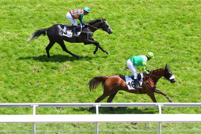 Arrivée quinté pmu PRIX DE ROYAN à AUTEUIL