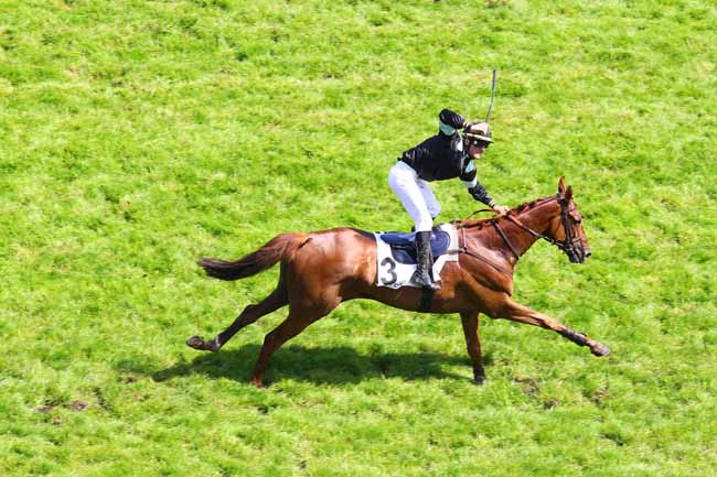 Arrivée quinté pmu PRIX DU VESINET à AUTEUIL