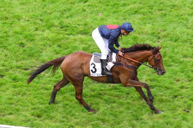 Arrivée quinté pmu PRIX JASON à AUTEUIL
