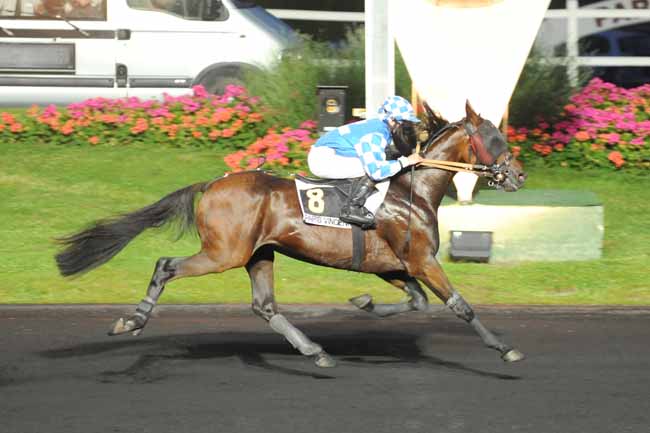 Arrivée quinté pmu PRIX SITA à PARIS-VINCENNES