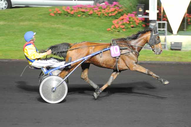 Arrivée quinté pmu PRIX FELICIA à PARIS-VINCENNES