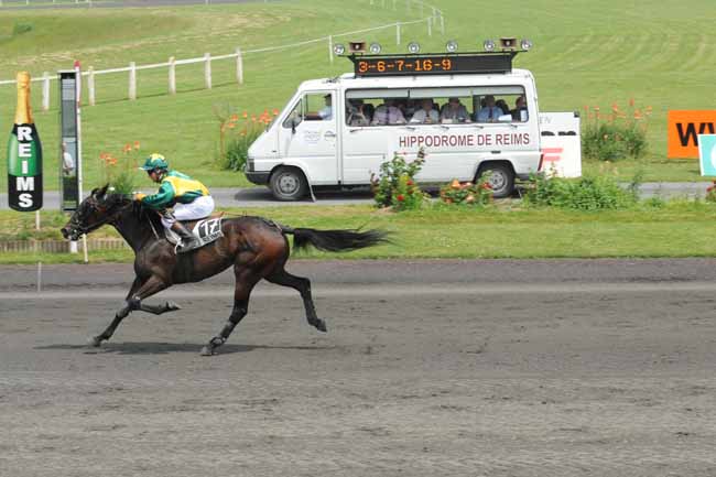 Arrivée quinté pmu PRIX DU JOURNAL L'UNION à REIMS