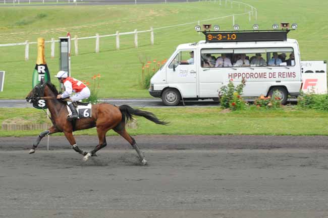 Arrivée quinté pmu PRIX DE LA LIGUE CONTRE LA CARDIOMYOPATHIE à REIMS