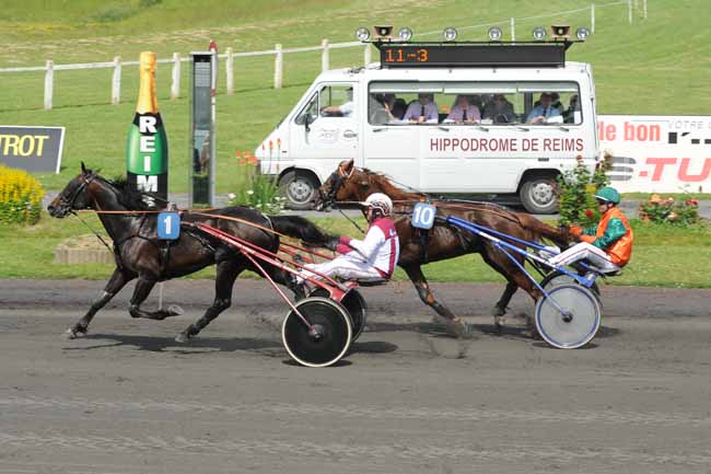 Arrivée quinté pmu PRIX DU CHAMPAGNE DE CASTELNAU à REIMS