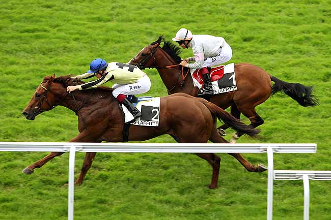 Arrivée quinté pmu PRIX SAINT-CRESPIN à MAISONS-LAFFITTE