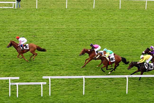 Arrivée quinté pmu PRIX DES PETRONS à MAISONS-LAFFITTE