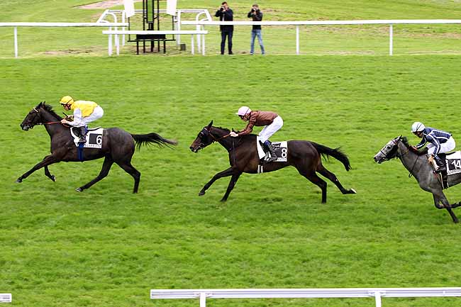 Arrivée quinté pmu PRIX DE LA CROIX BLANCHE à MAISONS-LAFFITTE