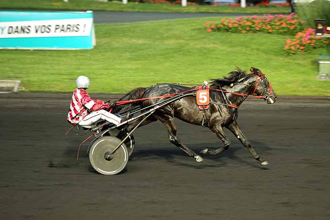 Arrivée quinté pmu PRIX HYGICA à PARIS-VINCENNES